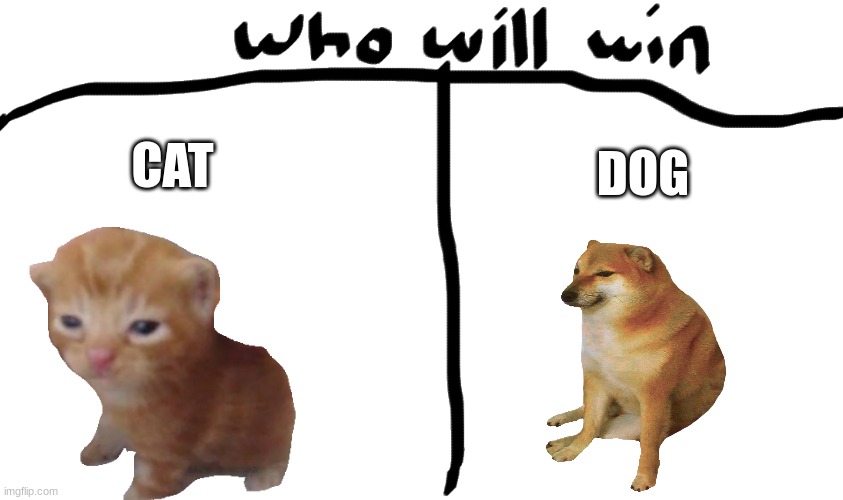 who will win | DOG; CAT | image tagged in who will win | made w/ Imgflip meme maker