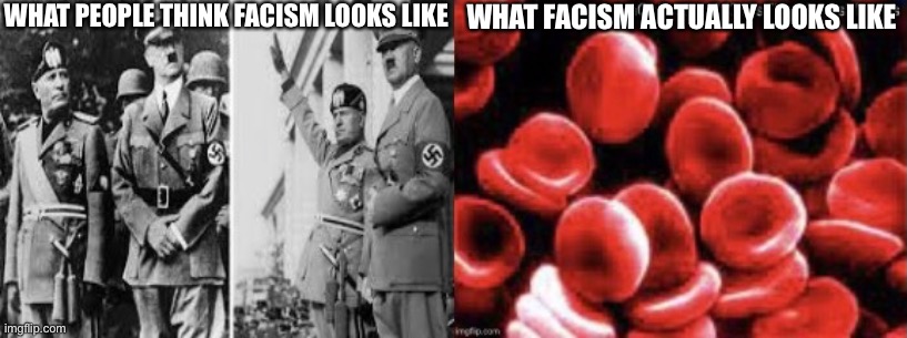 I love 4chins | WHAT PEOPLE THINK FACISM LOOKS LIKE; WHAT FACISM ACTUALLY LOOKS LIKE | made w/ Imgflip meme maker