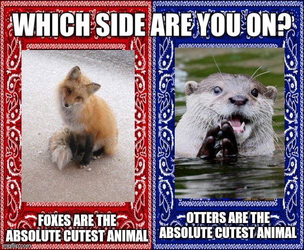 Personally I'm on Team Fox but what about you guys? | FOXES ARE THE ABSOLUTE CUTEST ANIMAL; OTTERS ARE THE ABSOLUTE CUTEST ANIMAL | image tagged in which side are you on,fox,otter,foxes,otters,cuteness | made w/ Imgflip meme maker