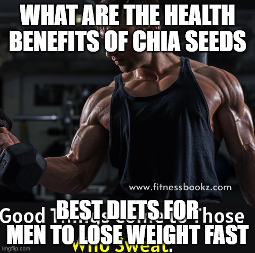 WHAT ARE THE HEALTH BENEFITS OF CHIA SEEDS; BEST DIETS FOR MEN TO LOSE WEIGHT FAST | made w/ Imgflip meme maker