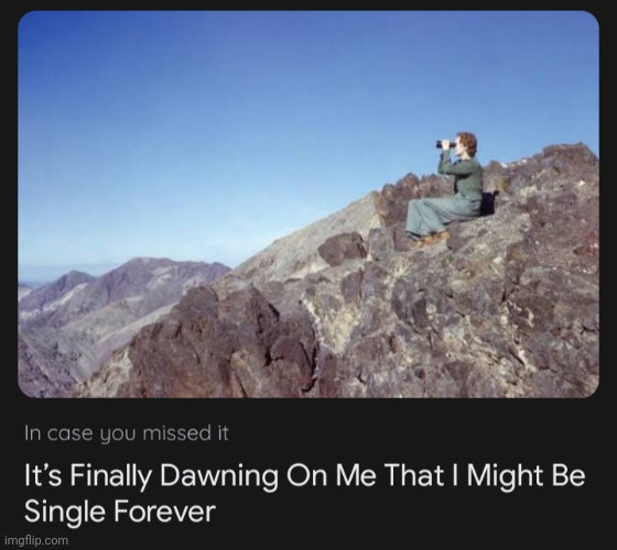 Single forever | image tagged in single forever | made w/ Imgflip meme maker