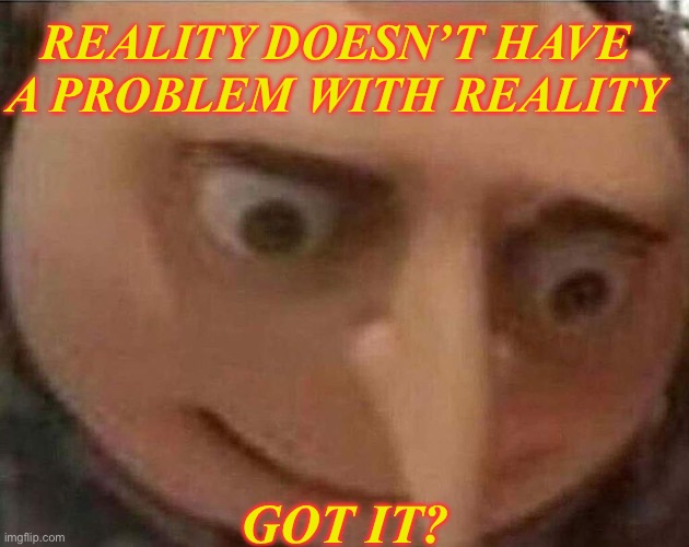 Reality is what is, not what I think | REALITY DOESN’T HAVE A PROBLEM WITH REALITY; GOT IT? | image tagged in gru meme,thinking,change my mind,blow my mind | made w/ Imgflip meme maker