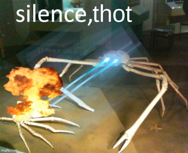 asfghjksghj | thot | image tagged in silence crab | made w/ Imgflip meme maker