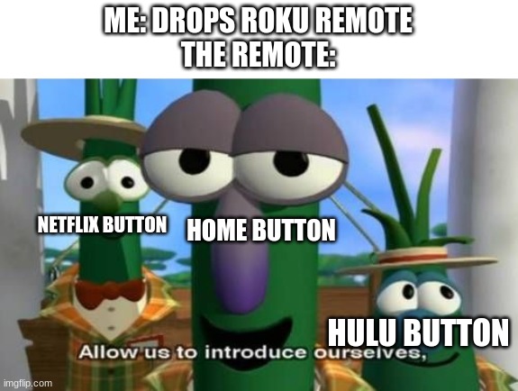 The TV always goes to one of those three | ME: DROPS ROKU REMOTE
THE REMOTE:; NETFLIX BUTTON; HOME BUTTON; HULU BUTTON | image tagged in allow us to introduce ourselves,can you submit this pls | made w/ Imgflip meme maker