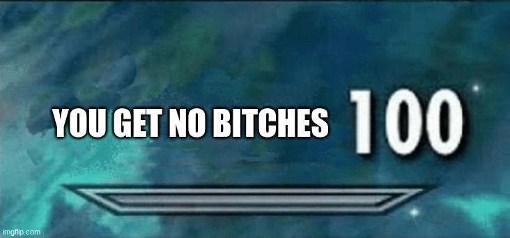 trytreeertyu | YOU GET NO BITCHES | image tagged in skyrim skill meme | made w/ Imgflip meme maker