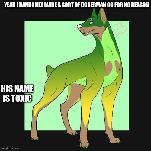 What should I do with him. (Throw him into a vat of acid) | YEAH I RANDOMLY MADE A SORT OF DOBERMAN OC FOR NO REASON; HIS NAME IS TOXIC | made w/ Imgflip meme maker