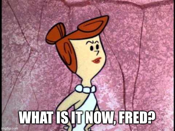 Wilma  | WHAT IS IT NOW, FRED? | image tagged in wilma | made w/ Imgflip meme maker