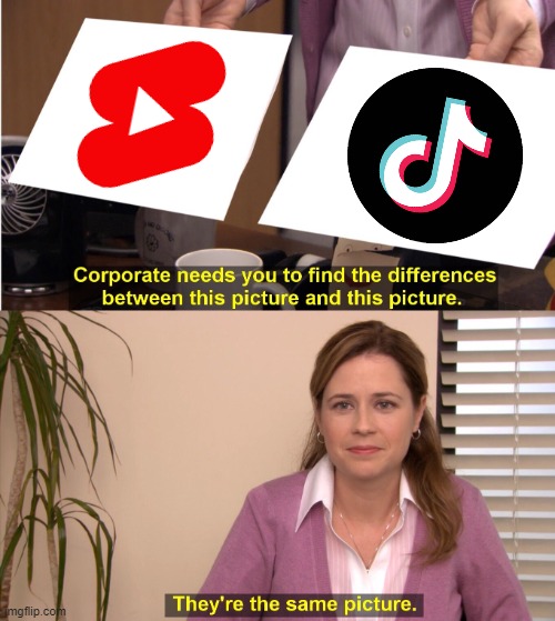 YouTube Shorts vs TikTok | image tagged in memes,they're the same picture,youtube,tiktok | made w/ Imgflip meme maker