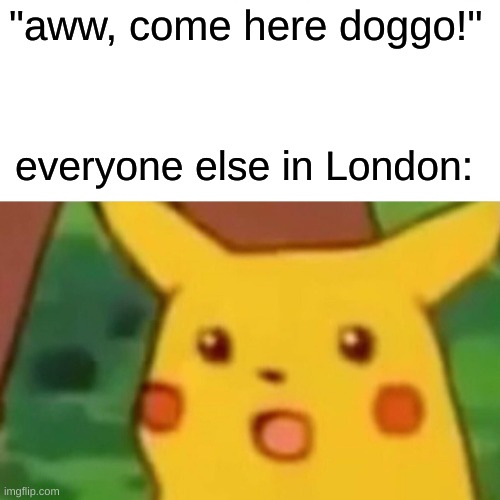 Werewolves in London | "aww, come here doggo!"; everyone else in London: | image tagged in memes,surprised pikachu | made w/ Imgflip meme maker