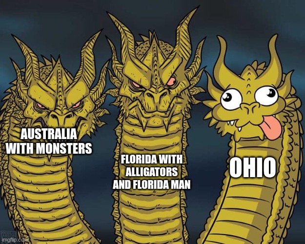 Three dragons | FLORIDA WITH ALLIGATORS AND FLORIDA MAN; AUSTRALIA WITH MONSTERS; OHIO | image tagged in three dragons | made w/ Imgflip meme maker