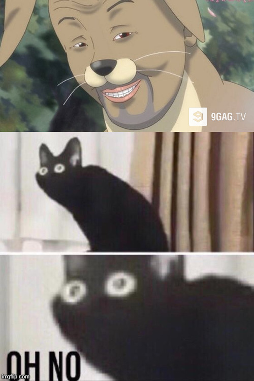 image tagged in weird anime hentai furry,oh no cat | made w/ Imgflip meme maker