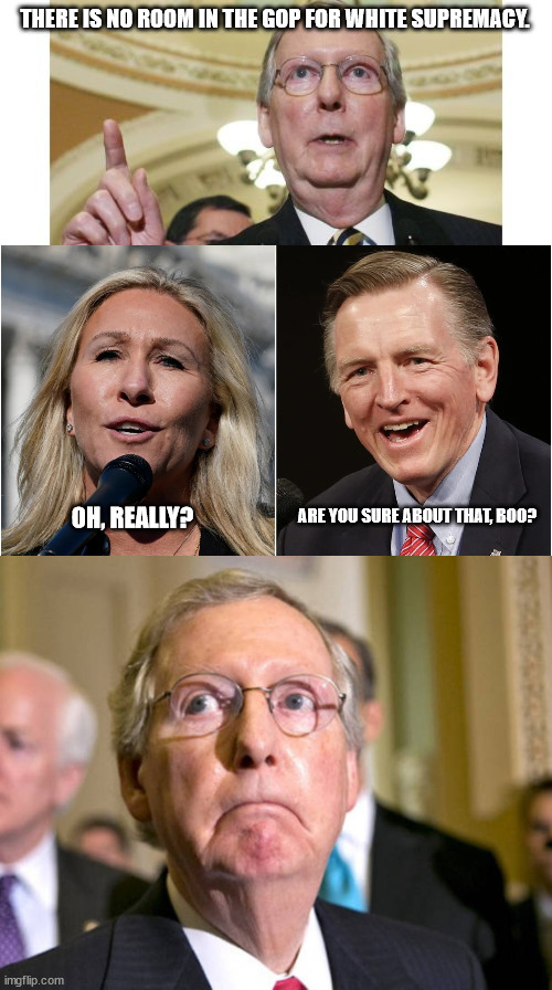 There's plenty of room, Mitch. Plenty. | THERE IS NO ROOM IN THE GOP FOR WHITE SUPREMACY. ARE YOU SURE ABOUT THAT, BOO? OH, REALLY? | image tagged in memes,mitch mcconnell | made w/ Imgflip meme maker