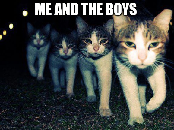 treretyu | ME AND THE BOYS | image tagged in memes,wrong neighboorhood cats | made w/ Imgflip meme maker