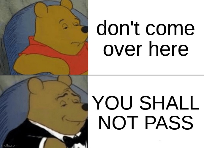 E | don't come over here; YOU SHALL NOT PASS | image tagged in memes,tuxedo winnie the pooh | made w/ Imgflip meme maker