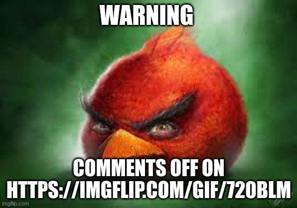 Realistic Red Angry Birds | WARNING; COMMENTS OFF ON HTTPS://IMGFLIP.COM/GIF/720BLM | image tagged in realistic red angry birds | made w/ Imgflip meme maker