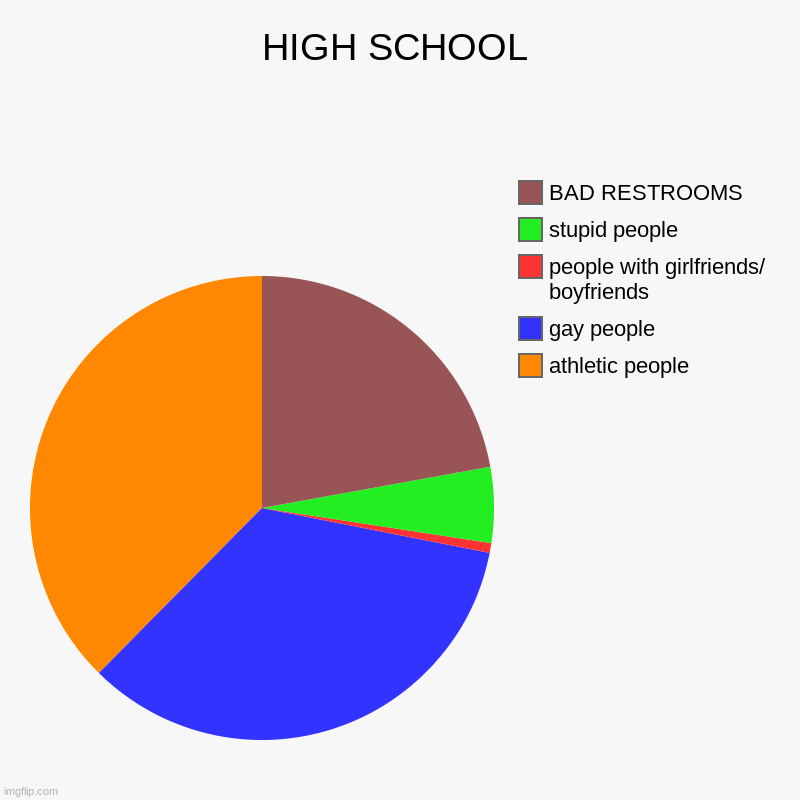 HIGH SCHOOL | athletic people, gay people, people with girlfriends/ boyfriends, stupid people, BAD RESTROOMS | image tagged in charts,pie charts | made w/ Imgflip chart maker