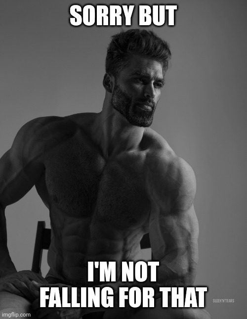 Giga Chad | SORRY BUT I'M NOT FALLING FOR THAT | image tagged in giga chad | made w/ Imgflip meme maker