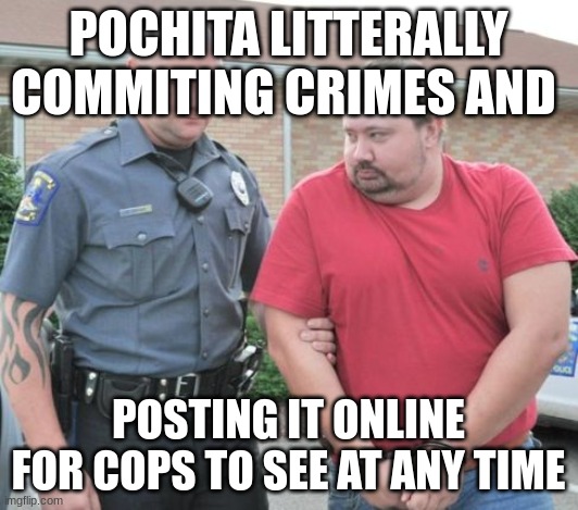 man get arrested | POCHITA LITTERALLY COMMITING CRIMES AND; POSTING IT ONLINE FOR COPS TO SEE AT ANY TIME | image tagged in man get arrested | made w/ Imgflip meme maker