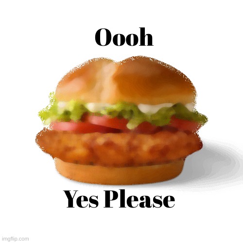 The Chicken Sandwich Everybody will Love! |  Oooh; Yes Please | image tagged in chicken,funny,random,food,boring | made w/ Imgflip meme maker