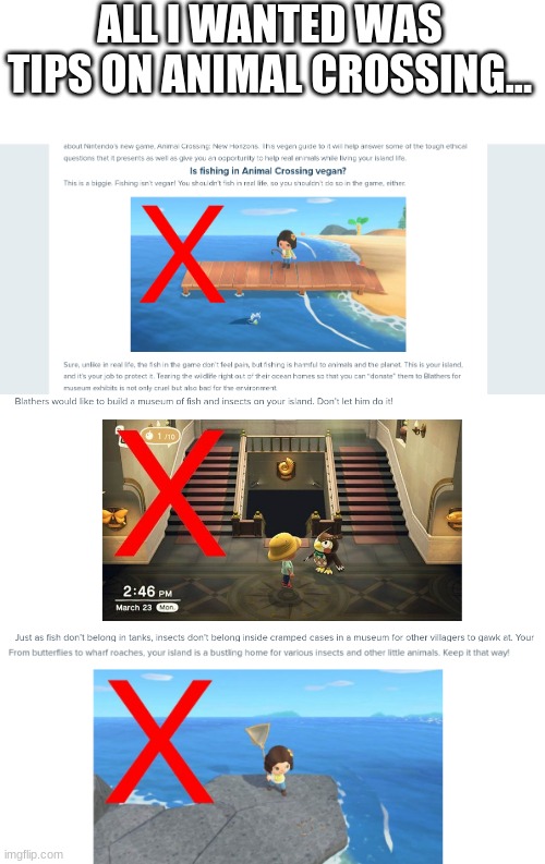 peta article: this is true, link below in comments |  ALL I WANTED WAS TIPS ON ANIMAL CROSSING... | image tagged in wtf,animal crossing,peta | made w/ Imgflip meme maker