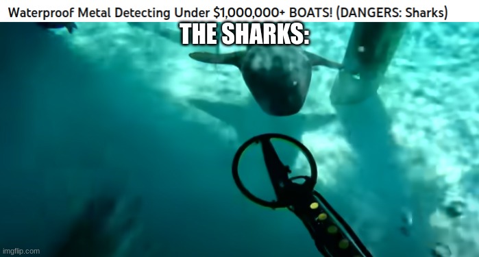 They're literally just harmless nurse sharks in crystal clear water. It's so clear that this is clickbait. | THE SHARKS: | image tagged in clickbait | made w/ Imgflip meme maker