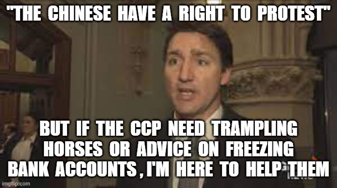  "THE  CHINESE  HAVE  A  RIGHT  TO  PROTEST"; BUT  IF  THE  CCP  NEED  TRAMPLING  HORSES  OR  ADVICE  ON  FREEZING  BANK  ACCOUNTS , I'M  HERE  TO  HELP  THEM | image tagged in justin trudeau,freedom convoy,chinese protests,trampling horses,freeze bank accounts,hypocrite | made w/ Imgflip meme maker