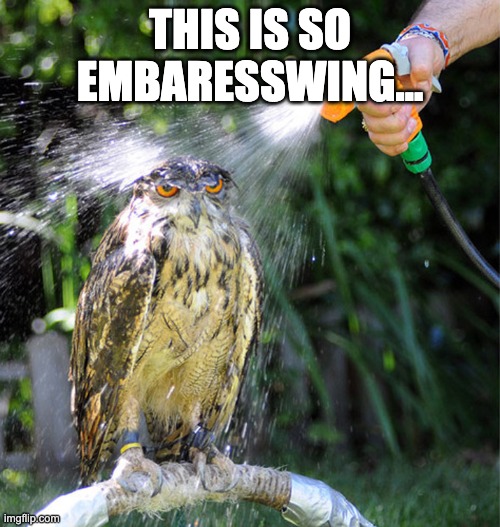 owl wet shower | THIS IS SO EMBARESSWING... | image tagged in owl wet shower | made w/ Imgflip meme maker