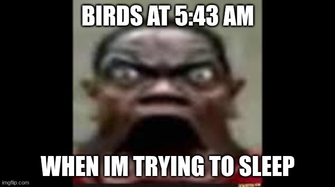 true | made w/ Imgflip meme maker