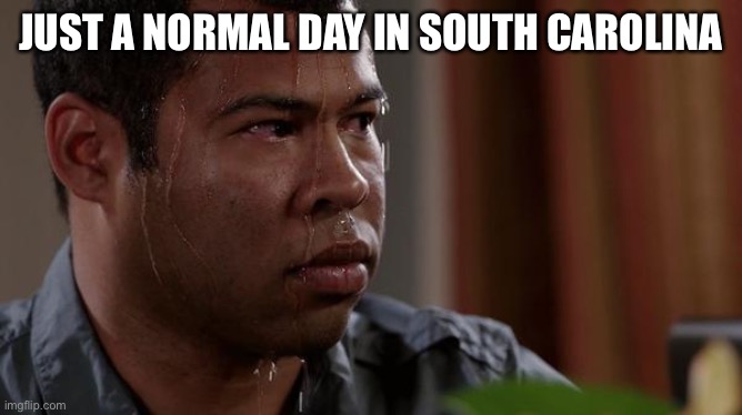 It’s hot down here! | JUST A NORMAL DAY IN SOUTH CAROLINA | image tagged in sweating bullets,south carolina | made w/ Imgflip meme maker