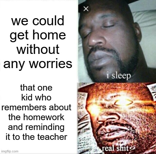 why does this type of people exist? | we could get home without any worries; that one kid who remembers about the homework and reminding it to the teacher | image tagged in memes,sleeping shaq,funny,i sleep real shit | made w/ Imgflip meme maker