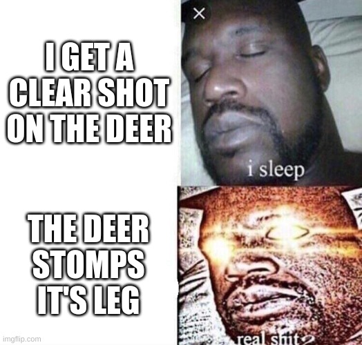 i sleep real shit | I GET A CLEAR SHOT ON THE DEER; THE DEER STOMPS IT'S LEG | image tagged in i sleep real shit | made w/ Imgflip meme maker