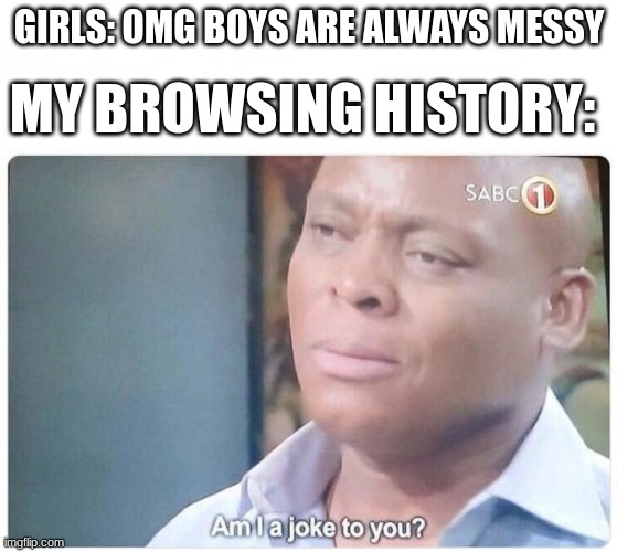 They don't know | MY BROWSING HISTORY:; GIRLS: OMG BOYS ARE ALWAYS MESSY | image tagged in am i a joke to you | made w/ Imgflip meme maker