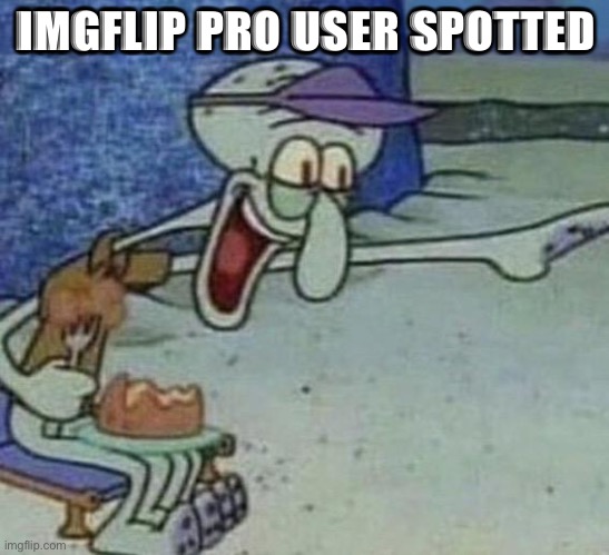 Squidward Point and Laugh | IMGFLIP PRO USER SPOTTED | image tagged in squidward point and laugh | made w/ Imgflip meme maker