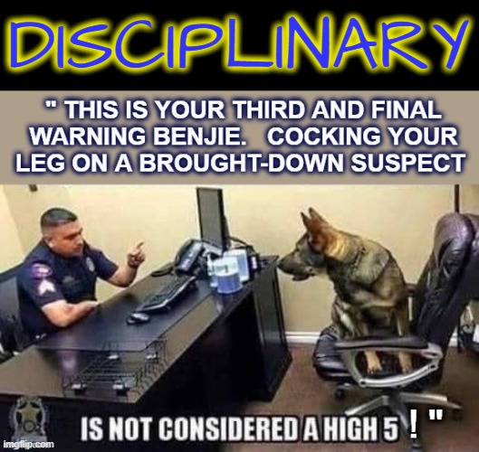 Bad Benjie ! | DISCIPLINARY | image tagged in piss on you | made w/ Imgflip meme maker