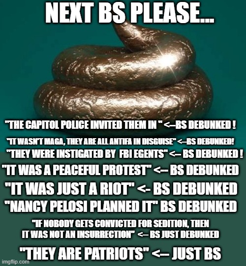 Polished Turd | NEXT BS PLEASE... "THE CAPITOL POLICE INVITED THEM IN " <--BS DEBUNKED ! "IT WASN'T MAGA, THEY ARE ALL ANTIFA IN DISGUISE" <--BS DEBUNKED! " | image tagged in polished turd | made w/ Imgflip meme maker