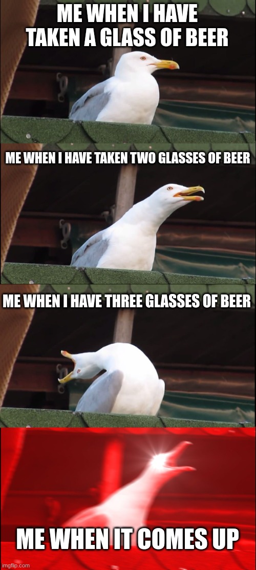 BEER IS GOOD | ME WHEN I HAVE TAKEN A GLASS OF BEER; ME WHEN I HAVE TAKEN TWO GLASSES OF BEER; ME WHEN I HAVE THREE GLASSES OF BEER; ME WHEN IT COMES UP | image tagged in memes,inhaling seagull | made w/ Imgflip meme maker
