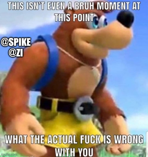 this isn't even a bruh moment at this point | @SPIKE
@ZI | image tagged in this isn't even a bruh moment at this point | made w/ Imgflip meme maker
