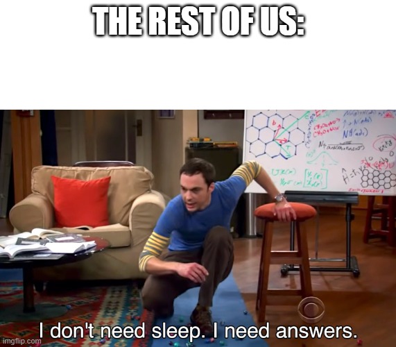 I Don't Need Sleep. I Need Answers | THE REST OF US: | image tagged in i don't need sleep i need answers | made w/ Imgflip meme maker