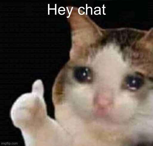 sadge | Hey chat | image tagged in sadge | made w/ Imgflip meme maker