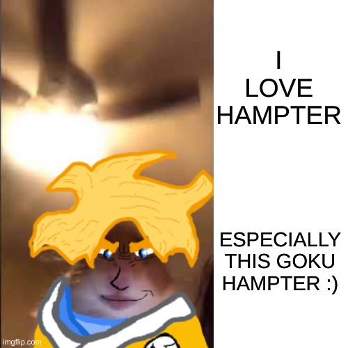 Goku Hampter | I LOVE HAMPTER; ESPECIALLY THIS GOKU HAMPTER :) | image tagged in hampter,dragon ball,wierd | made w/ Imgflip meme maker