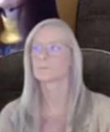 Taylor Blank Meme Template