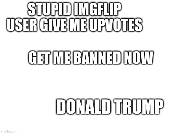 ban me moderators | STUPID IMGFLIP USER GIVE ME UPVOTES; GET ME BANNED NOW; DONALD TRUMP | image tagged in memes | made w/ Imgflip meme maker