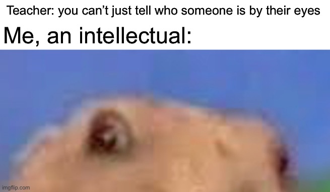 Fax | Teacher: you can’t just tell who someone is by their eyes; Me, an intellectual: | image tagged in dramatic,eyes,teacher,smart | made w/ Imgflip meme maker