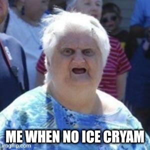 WAT Lady | ME WHEN NO ICE CRYAM | image tagged in wat lady | made w/ Imgflip meme maker