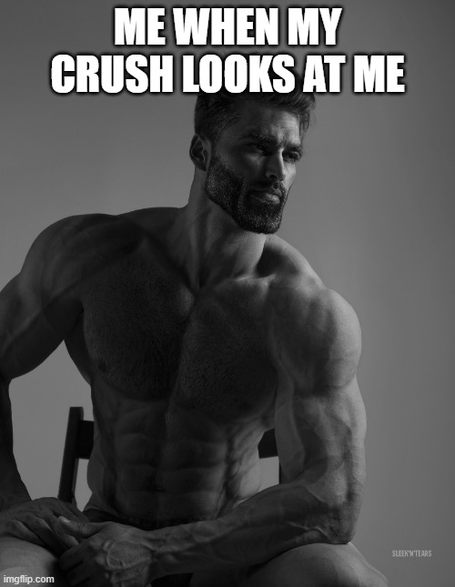 Giga Chad | ME WHEN MY CRUSH LOOKS AT ME | image tagged in giga chad | made w/ Imgflip meme maker