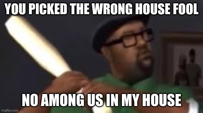 YOU PICKED THE WRONG HOUSE FOOL NO AMONG US IN MY HOUSE | image tagged in you picked the wrong house fool | made w/ Imgflip meme maker
