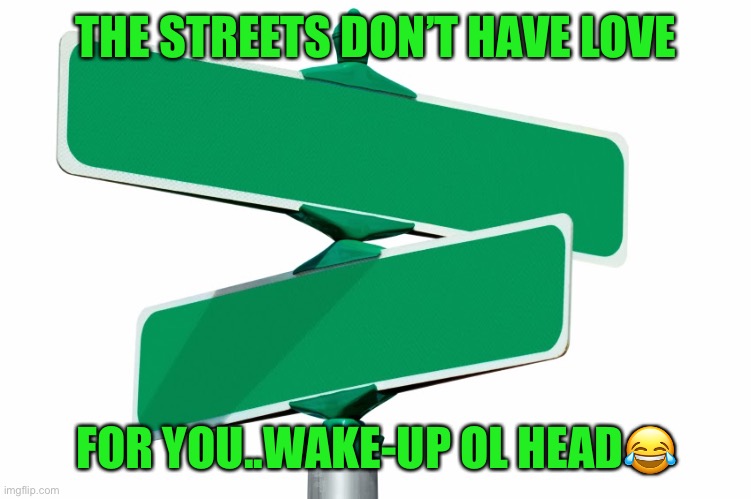 Love | THE STREETS DON’T HAVE LOVE; FOR YOU..WAKE-UP OL HEAD😂 | image tagged in blank street signs | made w/ Imgflip meme maker