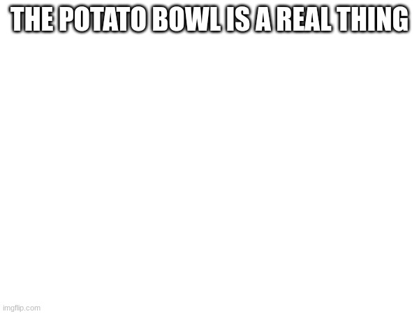 no idea why i made this |  THE POTATO BOWL IS A REAL THING | image tagged in tacos | made w/ Imgflip meme maker