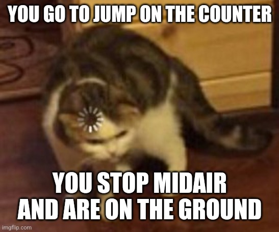 Loading cat | YOU GO TO JUMP ON THE COUNTER; YOU STOP MIDAIR AND ARE ON THE GROUND | image tagged in loading cat | made w/ Imgflip meme maker
