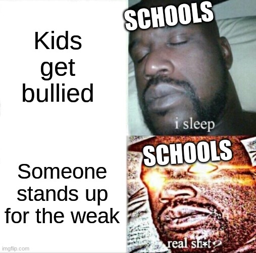 The way schools work | SCHOOLS; Kids get bullied; SCHOOLS; Someone stands up for the weak; * | image tagged in memes,sleeping shaq | made w/ Imgflip meme maker